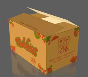 Thùng carton in flexo